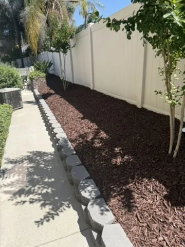 Mulched planting bed with a young tree beside a concrete side walkway in Orange County, California