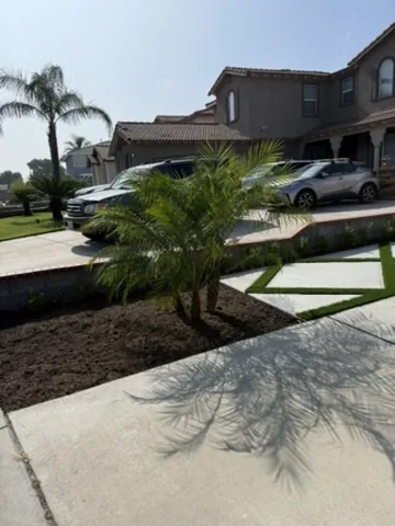 Palm planted beside a concrete driveway with artificial turf inlay panels in Orange County, California